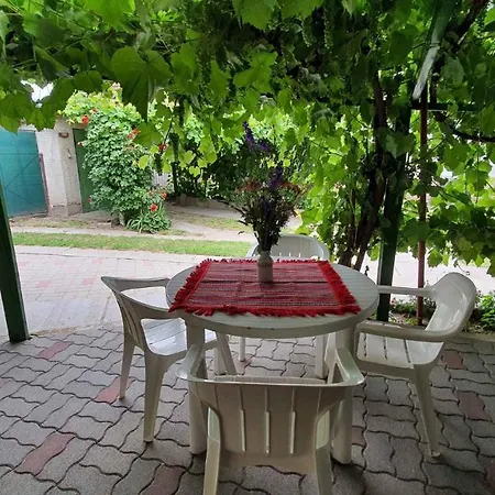 In - Balaton 43122 別荘